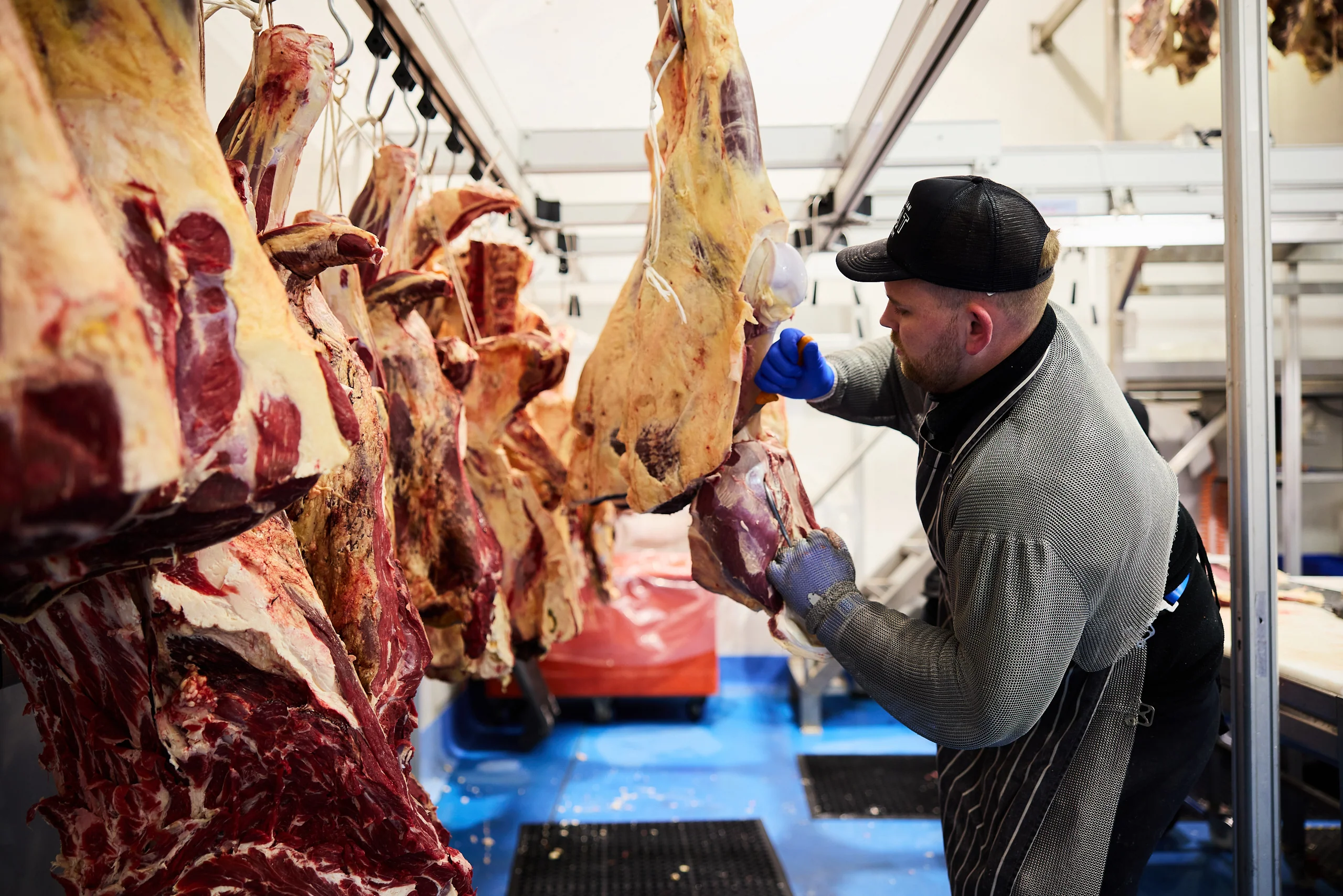 Premium Meats, Wholesale Prices